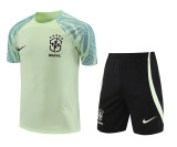 2022 Brazil (Training clothes) Set.Jersey & Short High Quality