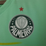 22-23 SE Palmeiras Third Away Fans Version Thailand Quality