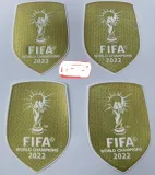 2022 World Cup Champion Argentina