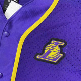 Los Angeles Lakers NBA湖人热身赛前服紫色