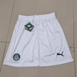 23-24 Palmeiras home Soccer shorts Thailand Quality