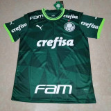 [sponsor] 23-24 SE Palmeiras home Fans Version Thailand Quality