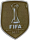 FIFA 2022俱