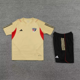 23-24 Sao Paulo (Training clothes) Set.Jersey & Short High Quality