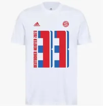 23-24 Bayern München (Cotton T-shirt) Fans Version Thailand Quality