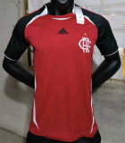 23-24 Flamengo (Special Edition) Fans Version Thailand Quality