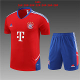 Kids kit 23-24 Bayern München (Training clothes) Thailand Quality