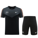 23-24 Nike (black ash) Set.Jersey & Short High Quality
