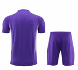 23-24 Cruzeiro (Training clothes) Set.Jersey & Short High Quality
