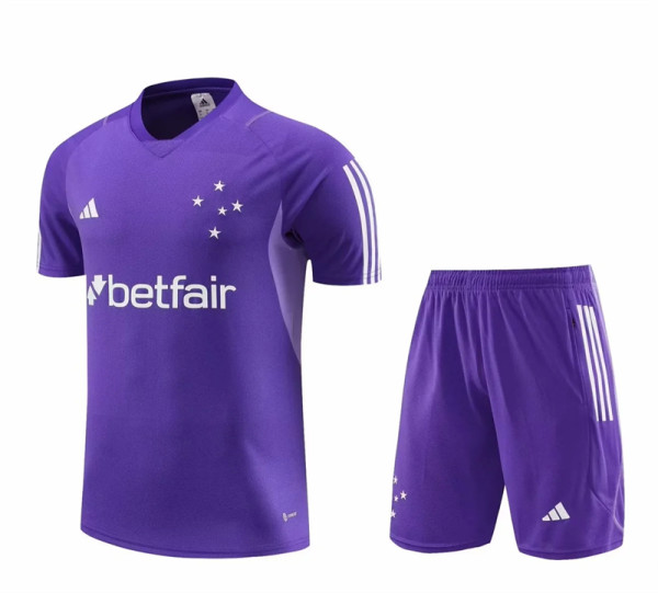 23-24 Cruzeiro (Training clothes) Set.Jersey & Short High Quality