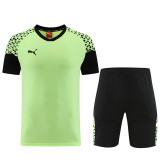 23-24 Puma (light green) Set.Jersey & Short High Quality