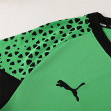 23-24 Puma (green) Set.Jersey & Short High Quality