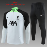 Player Version Young 23-24 Liverpool (light gray) Sweater tracksuit set