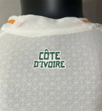 2023 Coate d'Ivoire Away Player Version Thailand Quality