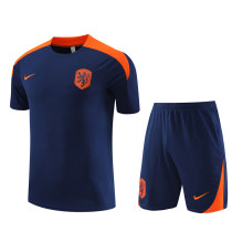 2024 Netherlands (Training clothes) Adult Jersey & Short Set Quality