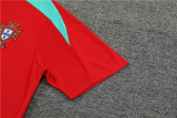2023 Portugal (Training clothes) Set.Jersey & Short High Quality