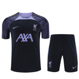 23-24 Liverpool (Training clothes) Set.Jersey & Short High Quality