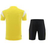 23-24 Borussia Dortmund (Training clothes) Set.Jersey & Short High Quality