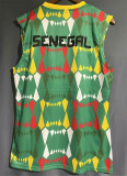 2023 Senegal (vest) Fans Version Thailand Quality