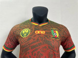 24-25 Cameroun (Special Edition) Player Version Thailand Quality