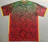 24-25 Cameroun (Special Edition) Fans Version Thailand Quality