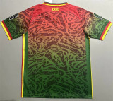 24-25 Cameroun (Special Edition) Fans Version Thailand Quality