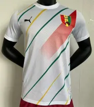 24-25 Guinea home Player Version Thailand Quality