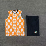2023 Coate d'Ivoire (vest) Adult Jersey & Short Set Quality