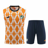 2023 Coate d'Ivoire (vest) Adult Jersey & Short Set Quality