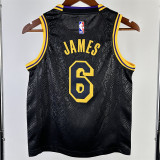 24童装湖人 Los Angeles Lakers Youth children's clothing:JAMES  6#
