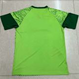 24-25 SE Palmeiras (Training clothes) Fans Version Thailand Quality
