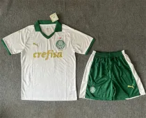 24-25 SE Palmeiras Away Set.Jersey & Short High Quality