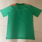 24-25Celtic Polo Jersey Thailand Quality