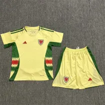 Kids kit 2024 Wales Away Thailand Quality
