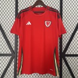 2024 Wales home Fans Version Thailand Quality