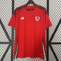 2024 Wales home Fans Version Thailand Quality