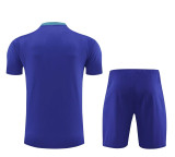 2024 Brazil (Training clothes) Adult Jersey & Short Set Quality