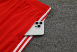 24-25 Bayern München (Training clothes) Set.Jersey & Short High Quality