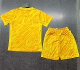 Kids kit 24-25Tottenham Hotspur (Goalkeeper) Thailand Quality