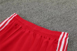 24-25 Bayern München (red) Jacket Sweater tracksuit set