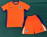 24-25 Netherlands home Adult Jersey & Short Set Quality