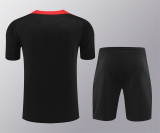 2024 Portugal (Training clothes) Adult Jersey & Short Set Quality