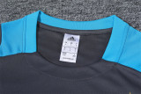 24-25 Argentina  (Training clothes) Set.Jersey & Short High Quality