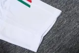 2024 Italy (Training clothes) Adult Jersey & Short Set High Quality