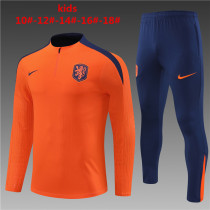 Player Version Young 24-25 Netherlands (orange) Sweater tracksuit set