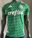 24-25 SE Palmeiras Player Version Thailand Quality