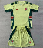 2024 Wales Away Adult Jersey & Short Set Quality