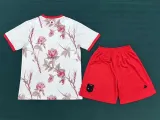 2024 Japan (Special Edition) Adult Jersey & Short Set Quality
