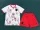 2024 Japan (Special Edition) Adult Jersey & Short Set Quality