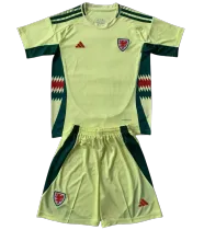 2024 Wales Away Adult Jersey & Short Set Quality